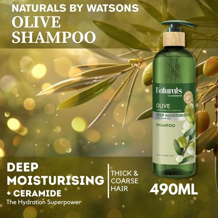 Olive Shampoo 490ml