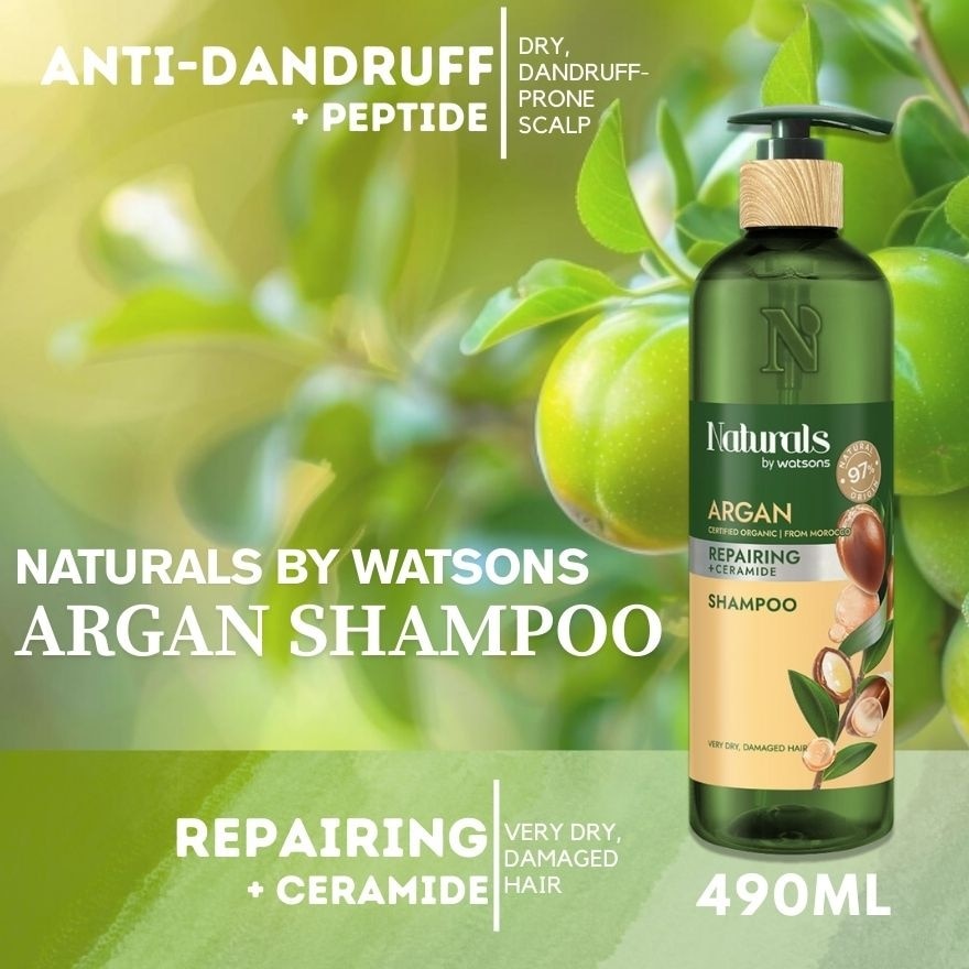Naturals Argan Oil Hair Shampoo 490ml