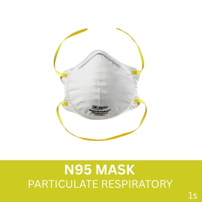 PANAMED N95 Mask 1s