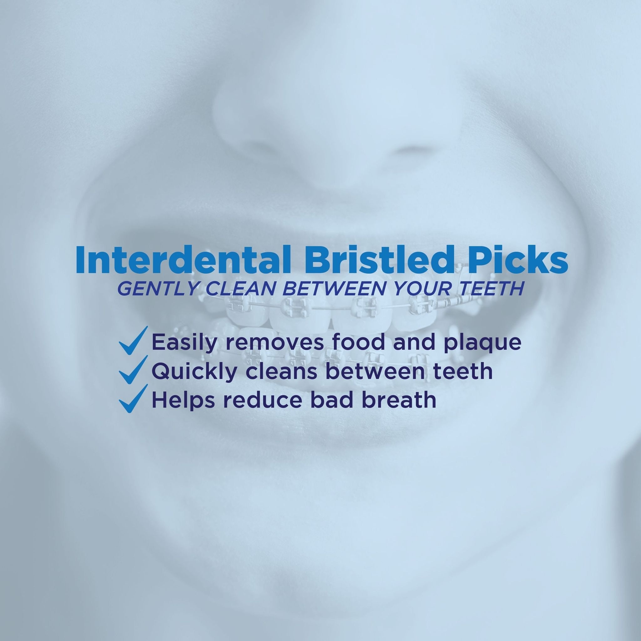Interdental Bristled picks 120 count