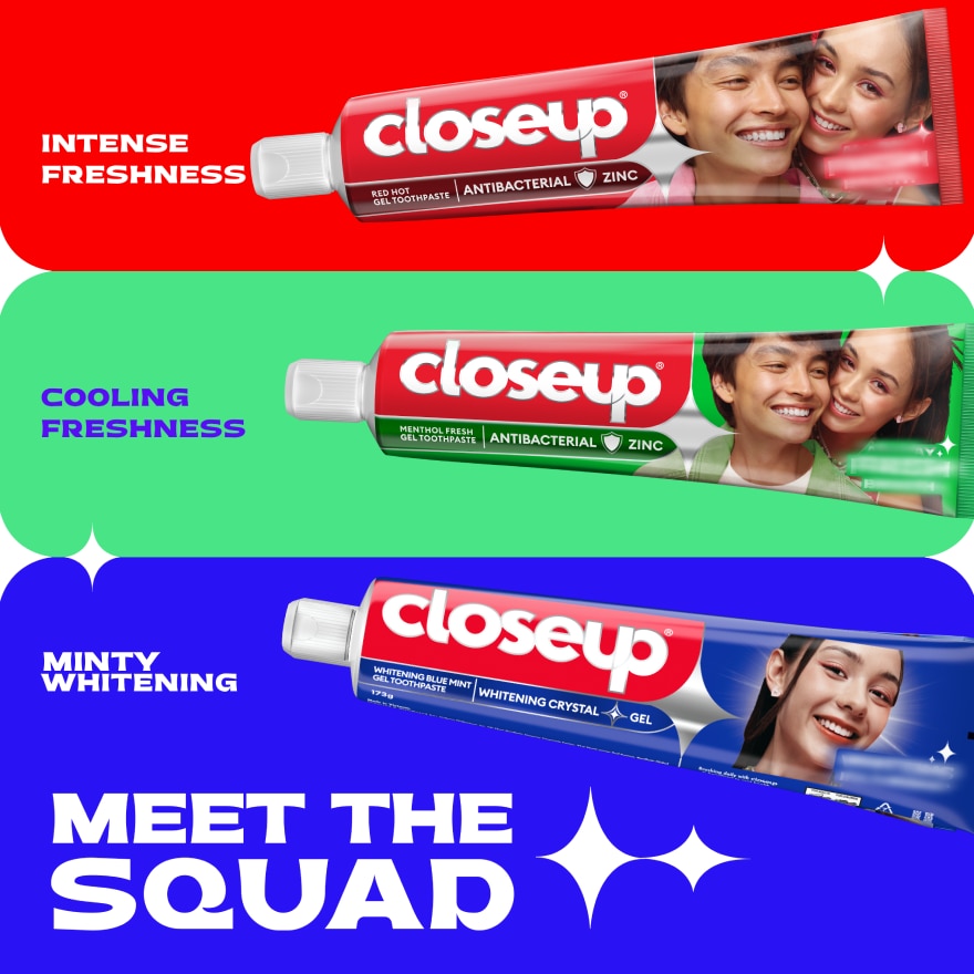 CLOSEUP Gel Toothpaste Antibacterial Zinc Green Menthol 173g Twin Pack