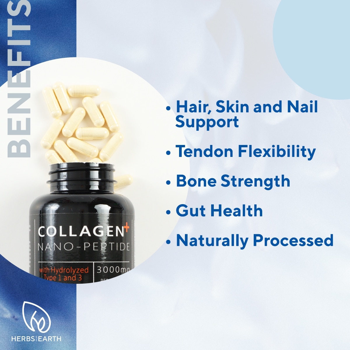Collagen Nano Peptides Types I&III 750MG 30 Caps USA MADE Herbs of the Earth image