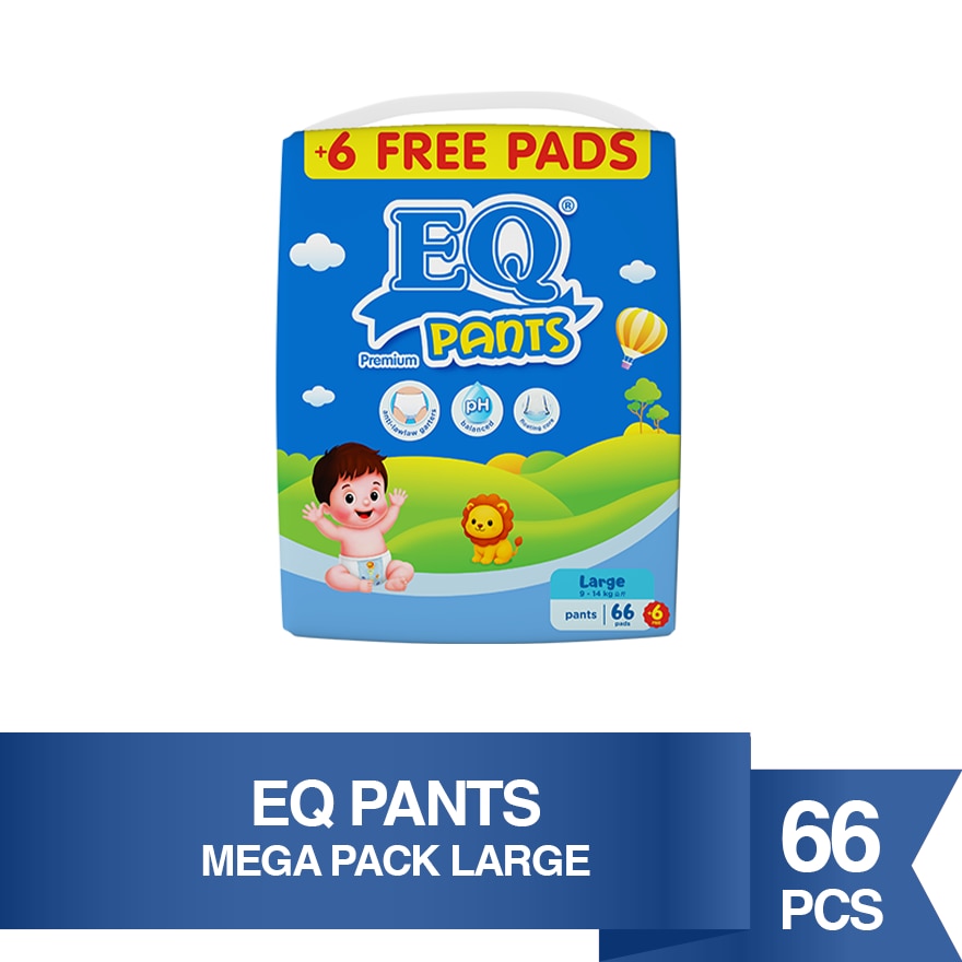 Pants L 66s image