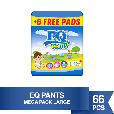 EQ Pants L 66s