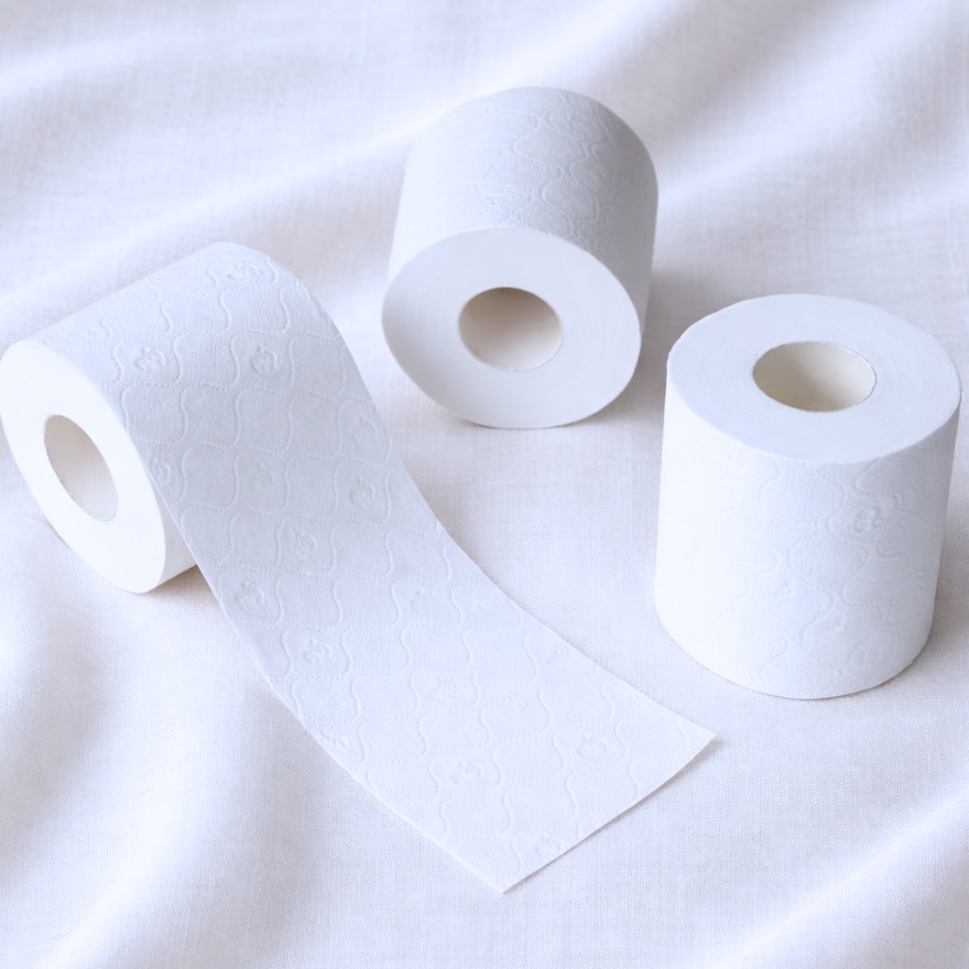 FLUFFY Ultra Soft Flushable Bathroom Tissue 3 Ply x 4 Rolls