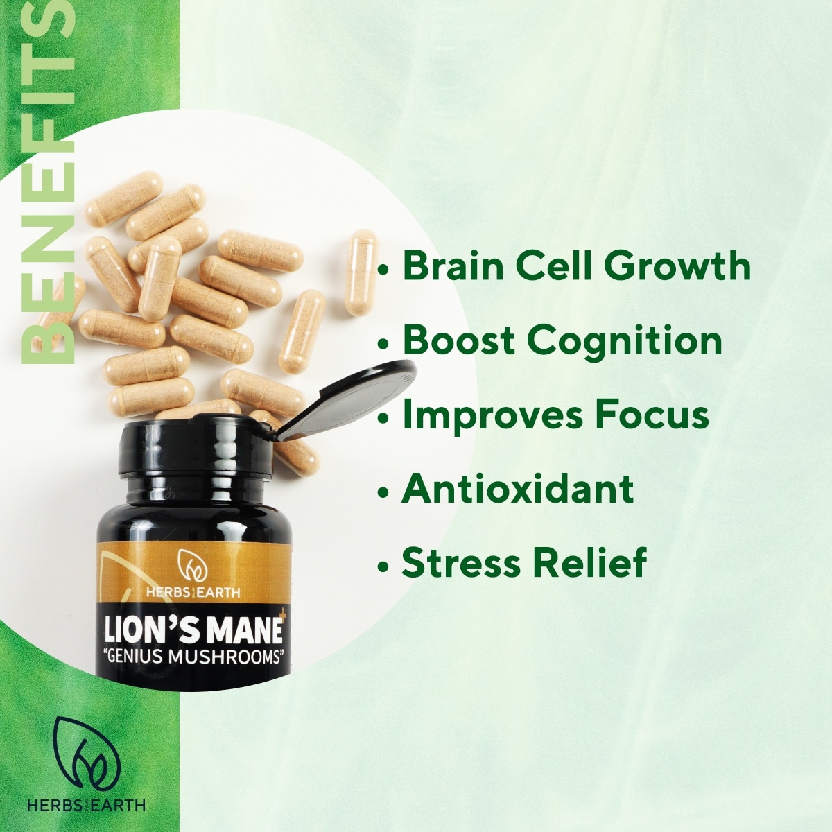 LION'S MANE + Brain Focus, Cognition, Memory Enhancer, 5 Mushrooms 60 Caps 700mg Herbs of the Earth image