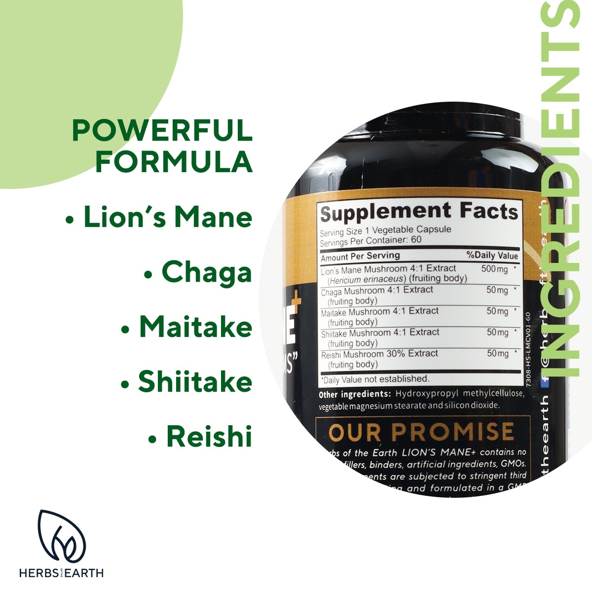 LION'S MANE + Brain Focus, Cognition, Memory Enhancer, 5 Mushrooms 60 Caps 700mg Herbs of the Earth image