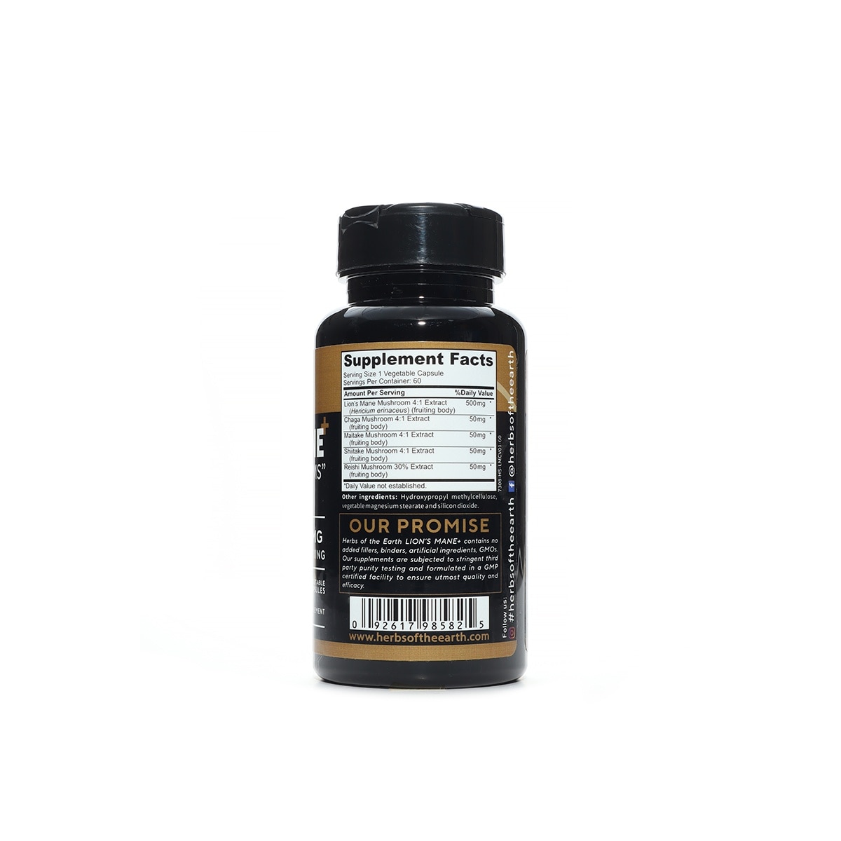 LION'S MANE + Brain Focus, Cognition, Memory Enhancer, 5 Mushrooms 60 Caps 700mg Herbs of the Earth image