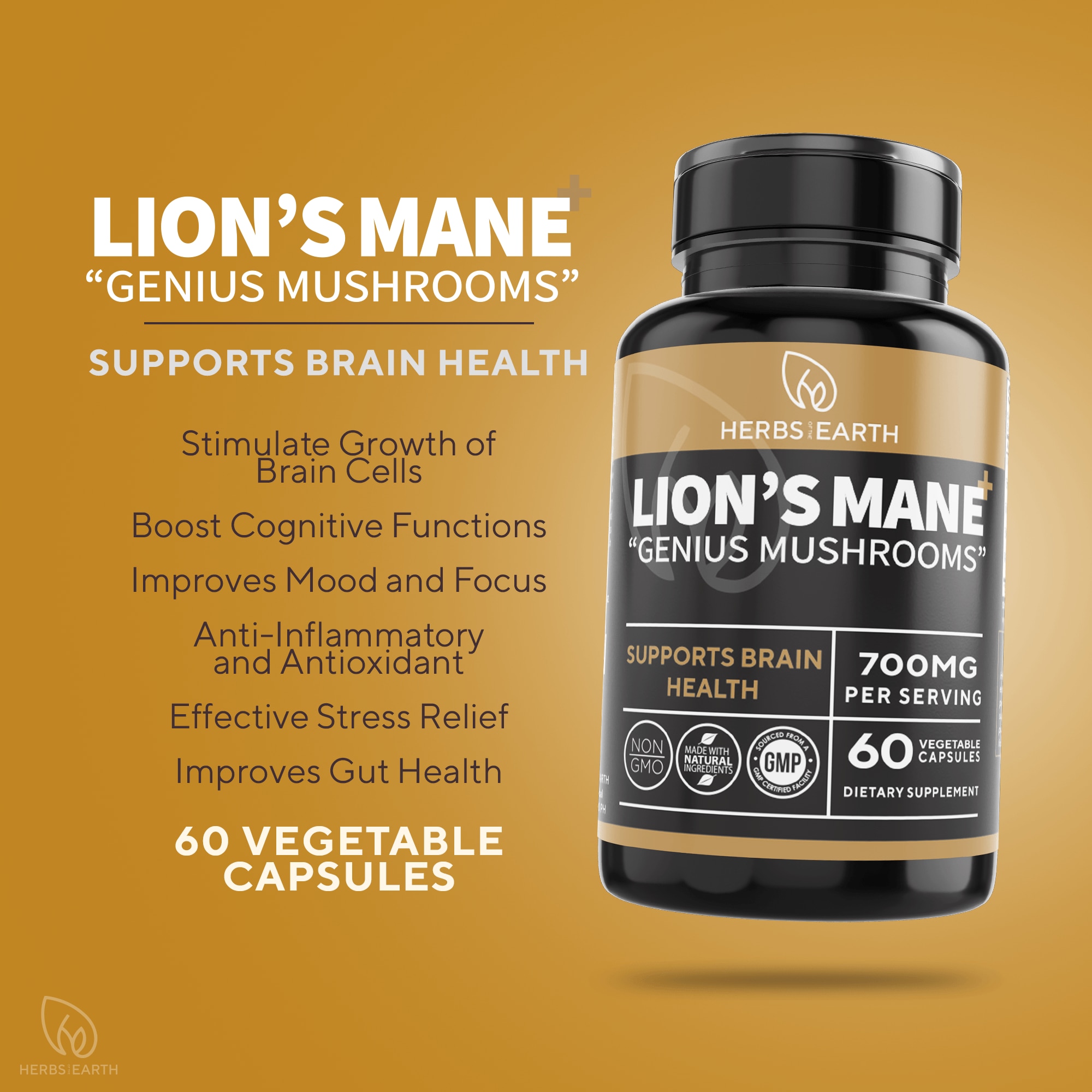 LION'S MANE + Brain Focus, Cognition, Memory Enhancer, 5 Mushrooms 60 Caps 700mg Herbs of the Earth image