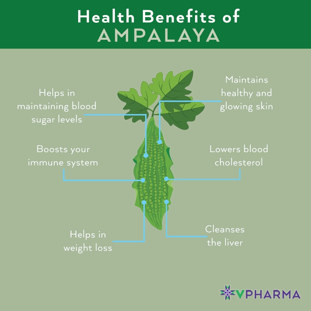 MEGA Mega Ampalaya 600mg Sold Per Piece