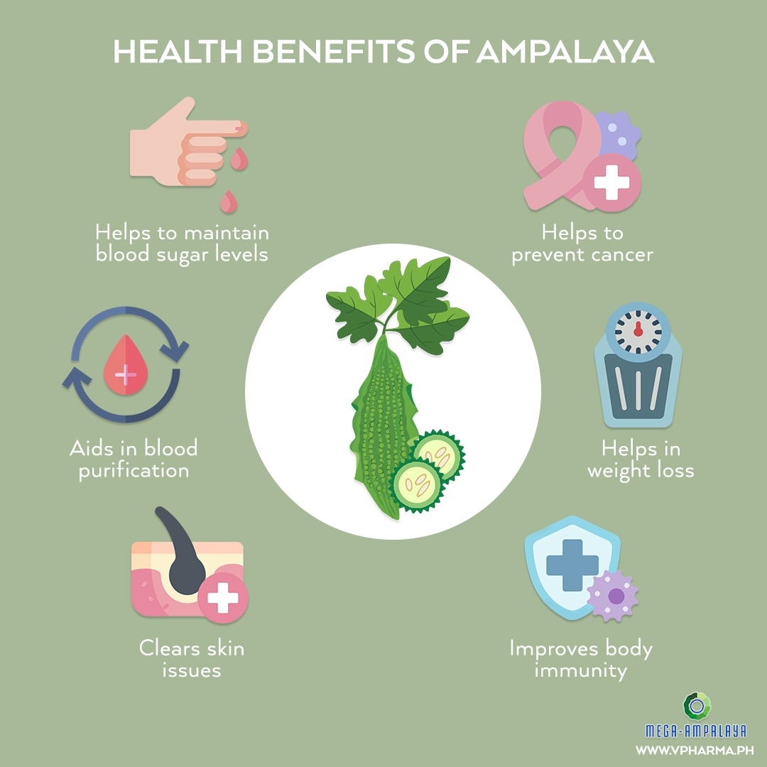 MEGA Mega Ampalaya 600mg Sold Per Piece