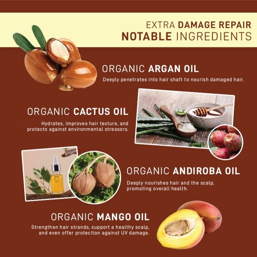 Perfect Beauty Extra Damage Repair - Treatment Refill - 330 ML