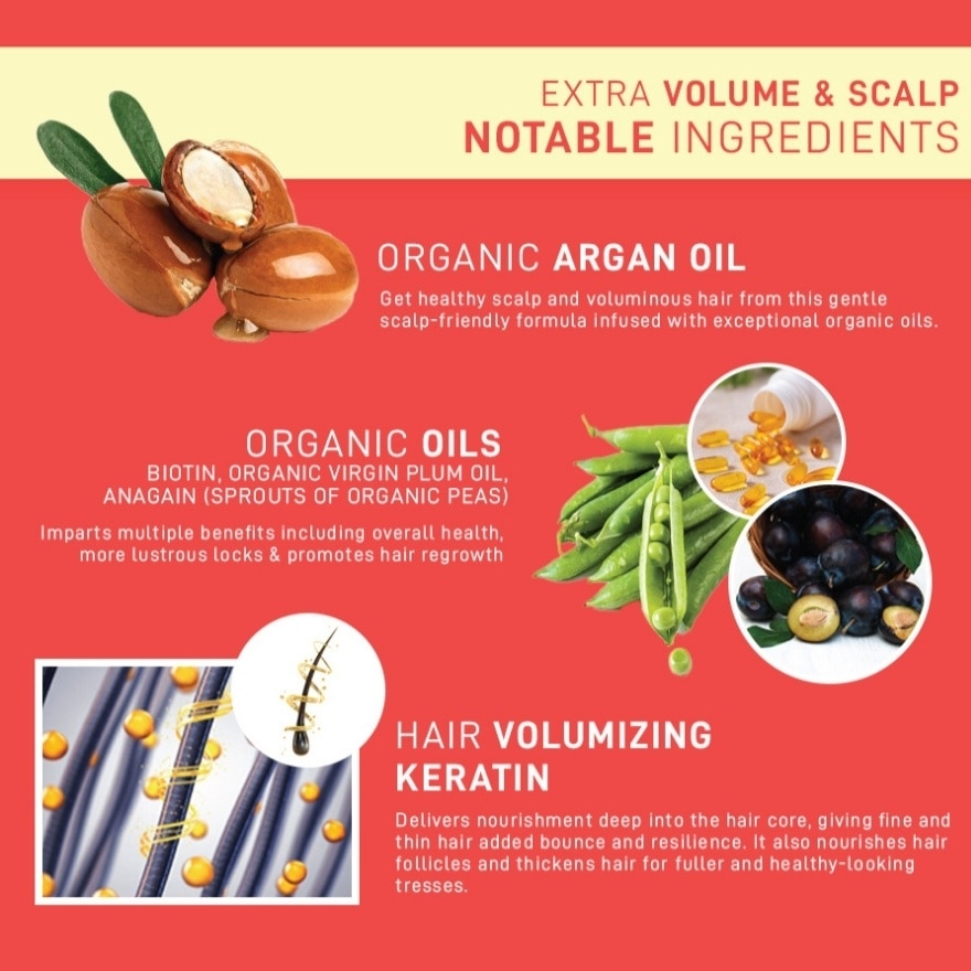 Perfect Beauty Extra Volume & Scalp - Treatment - 450 ML