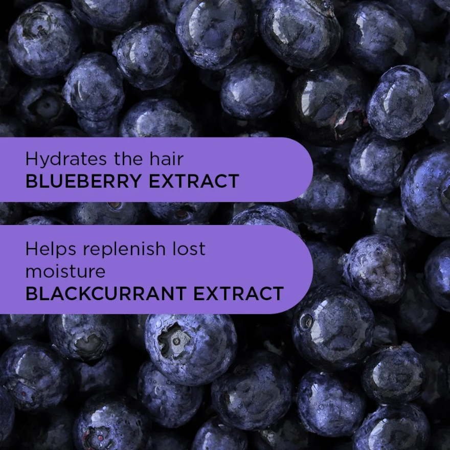 NOUGHTY Purple Reign Tone Correcting Condiitoner 250ml