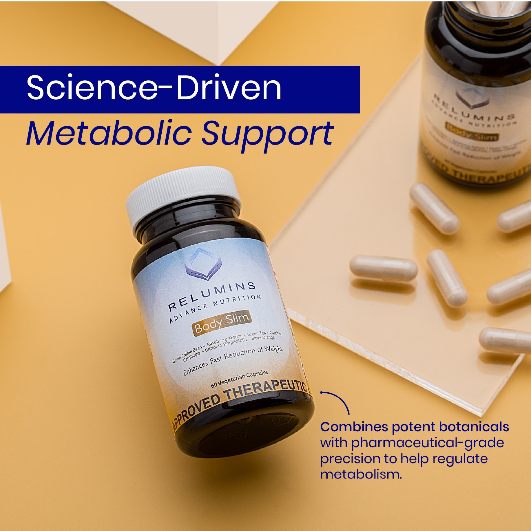 Advance Nutrition Body Slim 60 Capsules