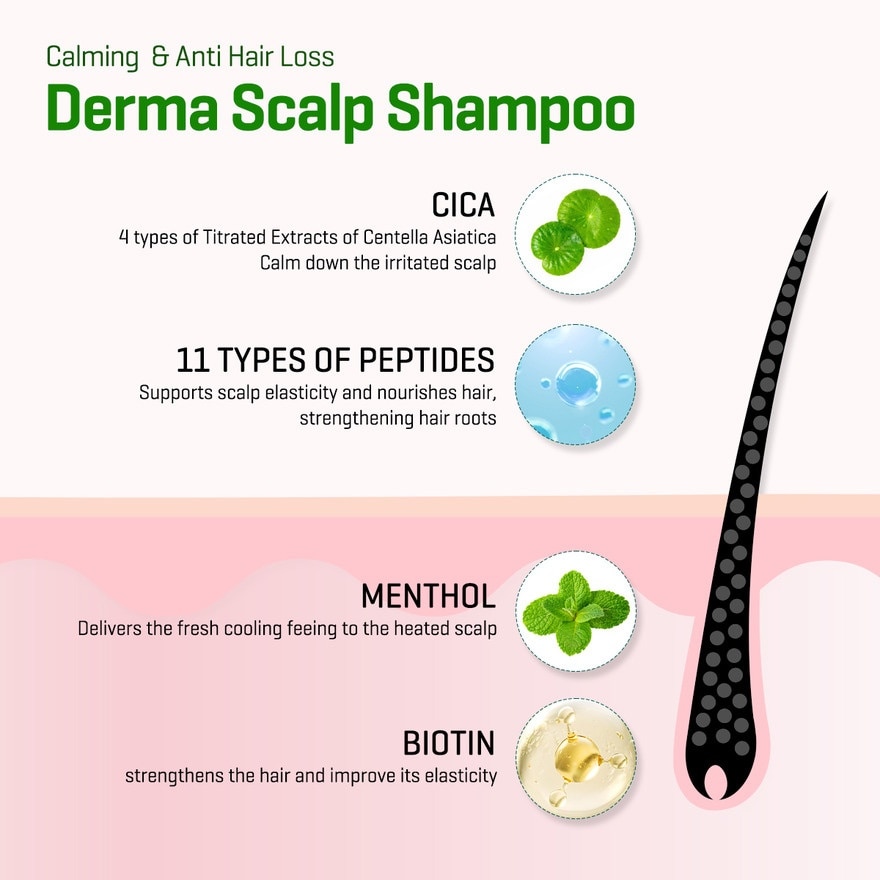 SOME BY MI Cica Peptide Anti Hair Loss Derma Scalp Shampoo 285ml