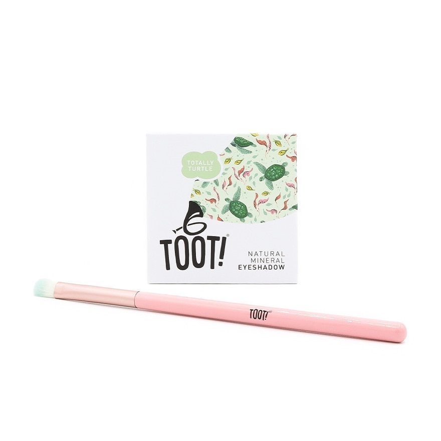 TOOT Totally Turtle Eyeshadow Box Set