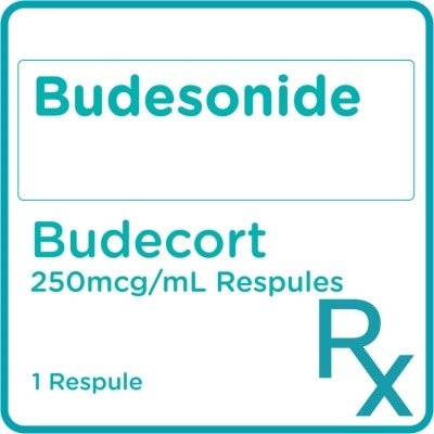 BUDECORT Budesonide 250mcg 1 Respule [PRESCRIPTION REQUIRED]