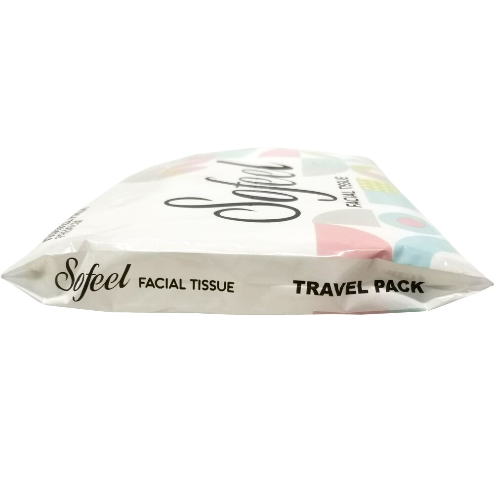 Travel Pack 2 ply 100 sheets