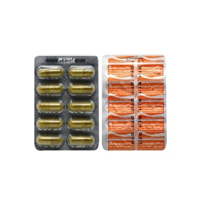 AMPALAYA PLUS Ampalaya Banaba 450 mg Junior 1 Capsule