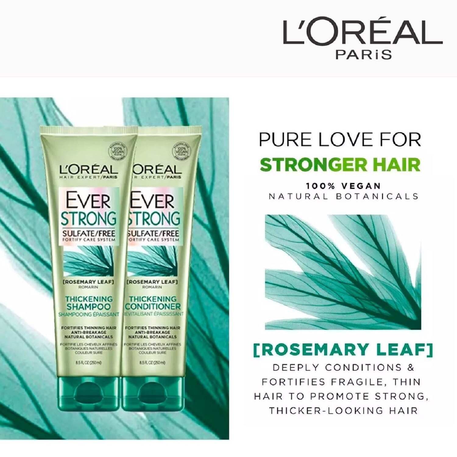 Everstrong Thickening Shampoo 250mL [Sulfate-Free]
