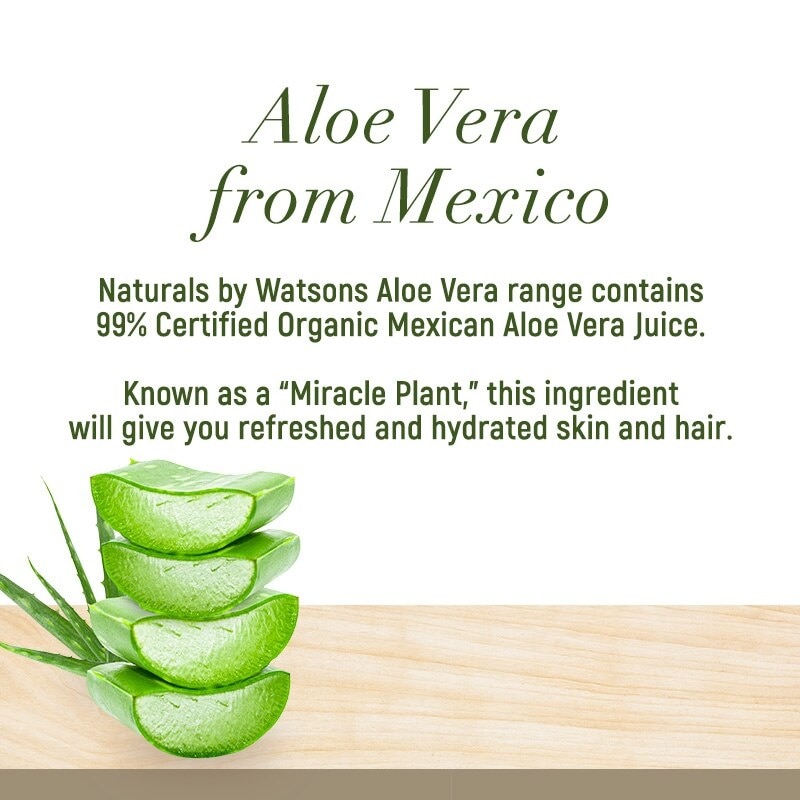 Aloe Vera Conditioner 490ml