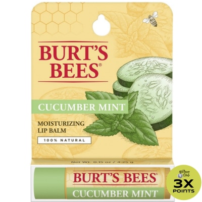 BURTS BEES Cucumber Mint Lip Balm 4.25g