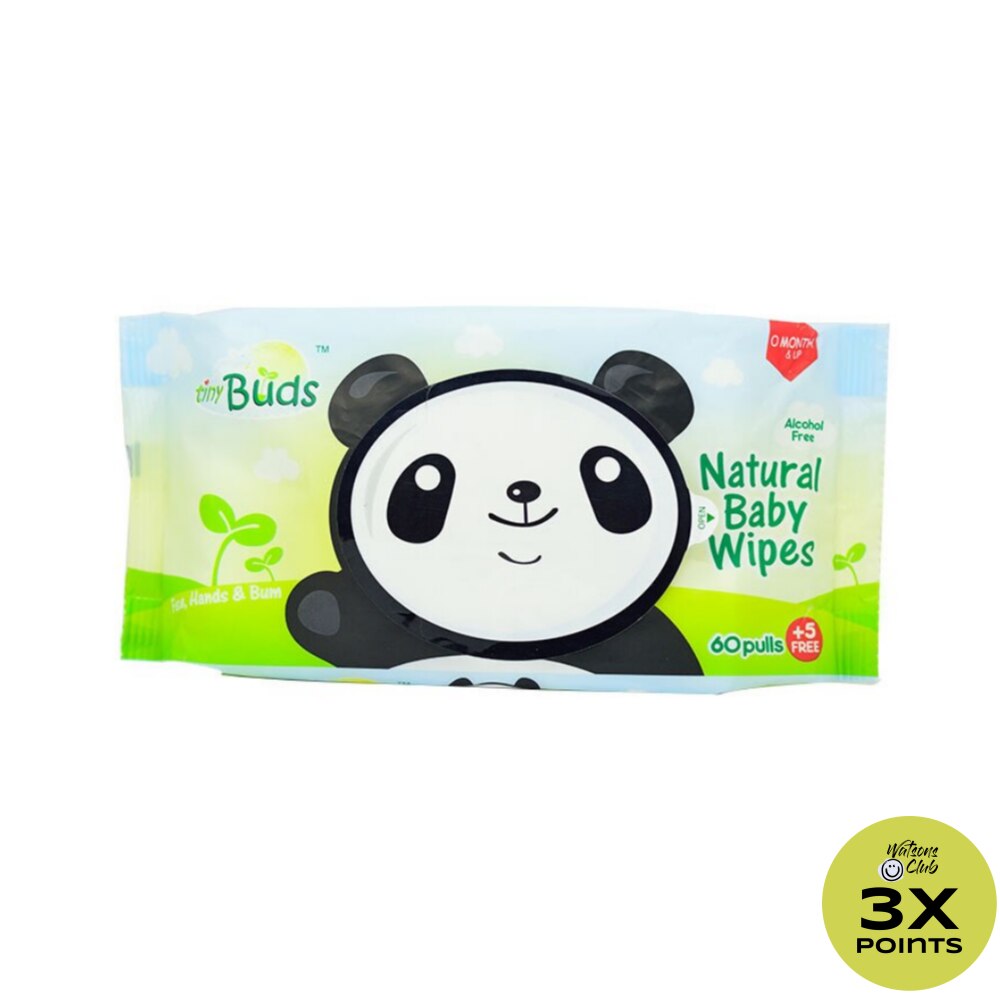 Natural Baby Wipes 60 Pulls5 Free