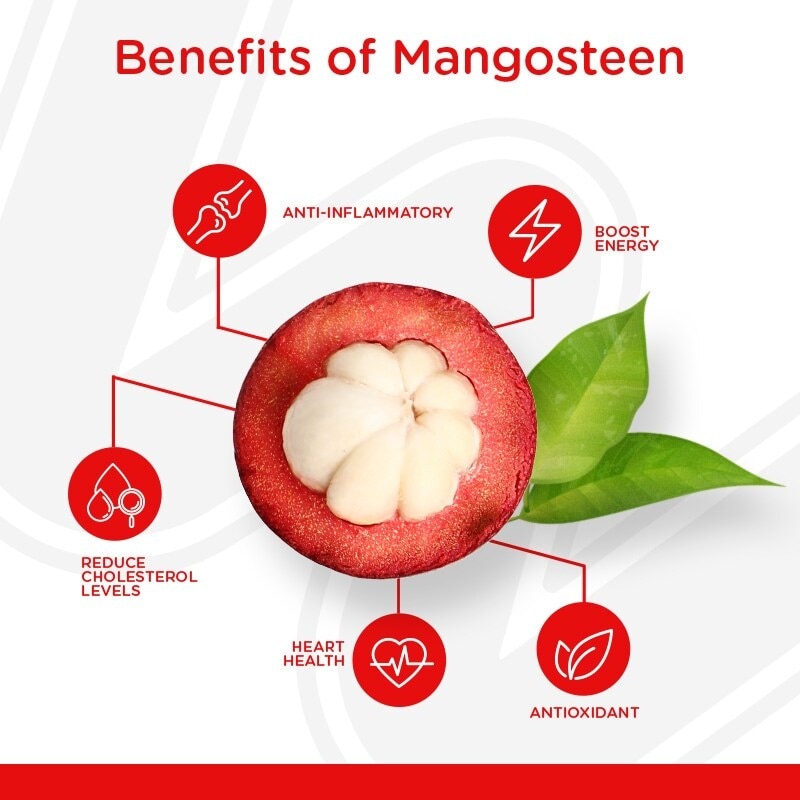 Mangosteen 500mg 1 Capsule