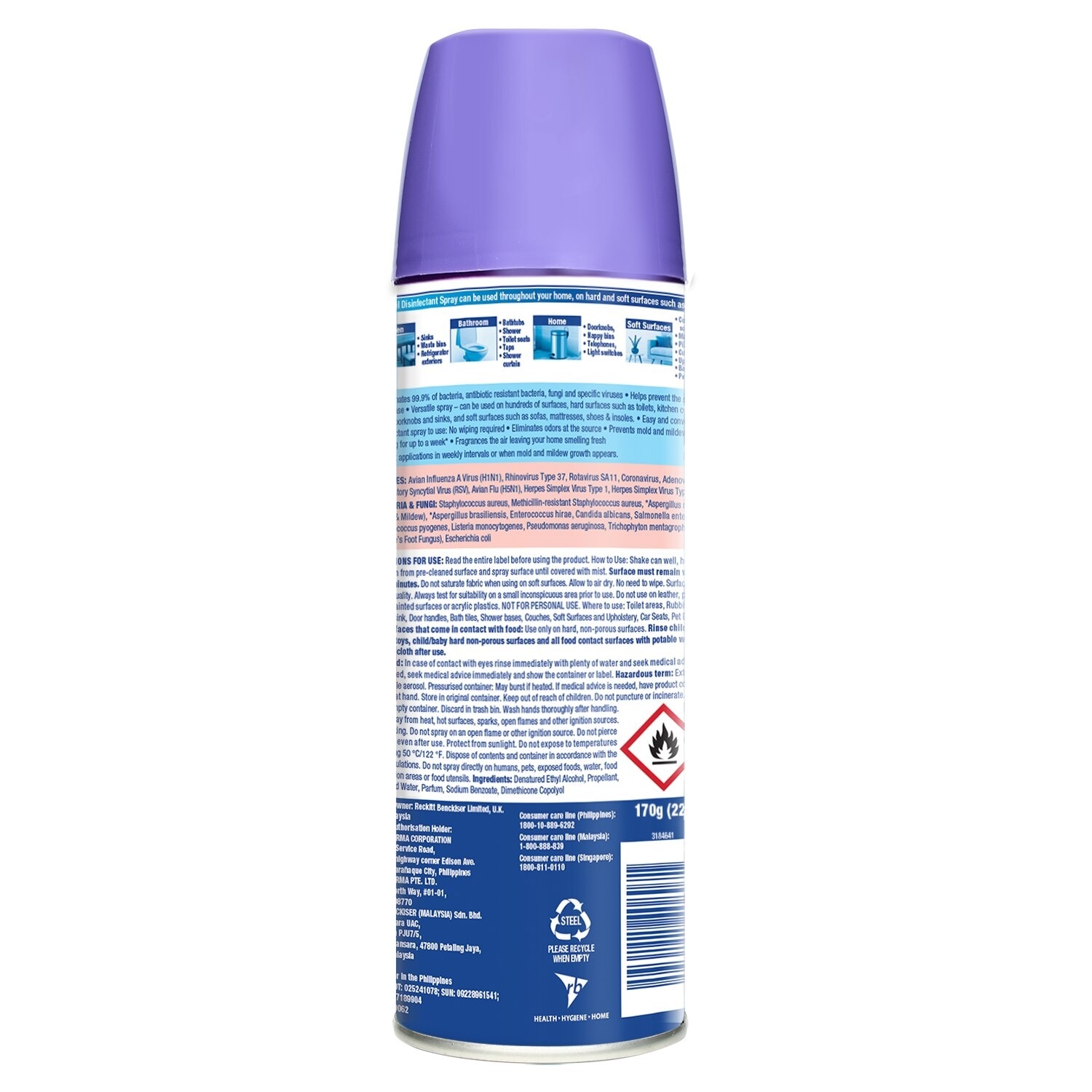 Disinfectant Spray Early Morning Breeze  170G