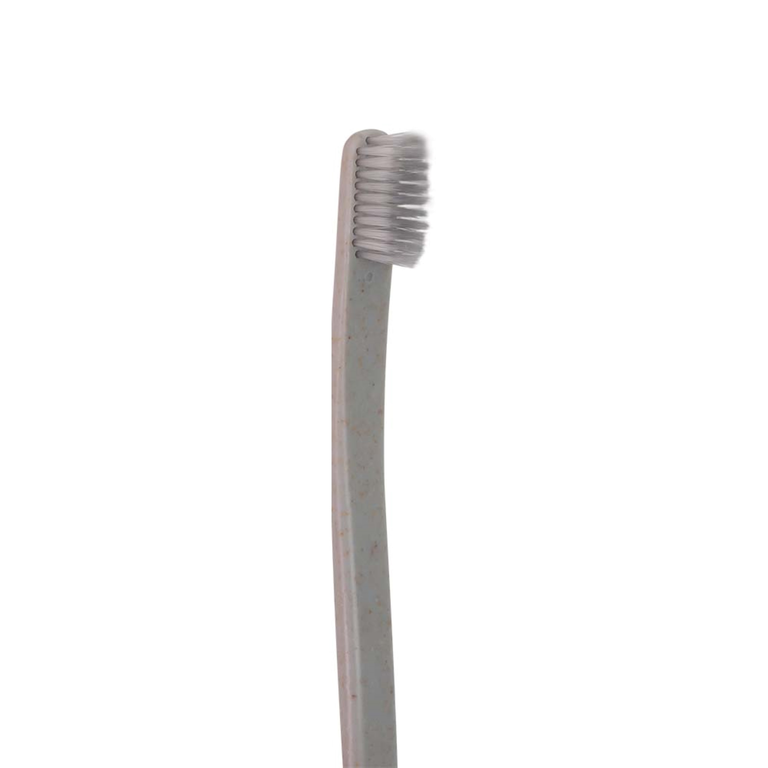 Toothbrush Grey