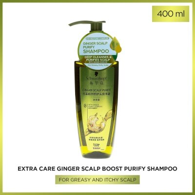 EXTRA CARE Shampoo ginger Scalp Bst Purify - 400 ML