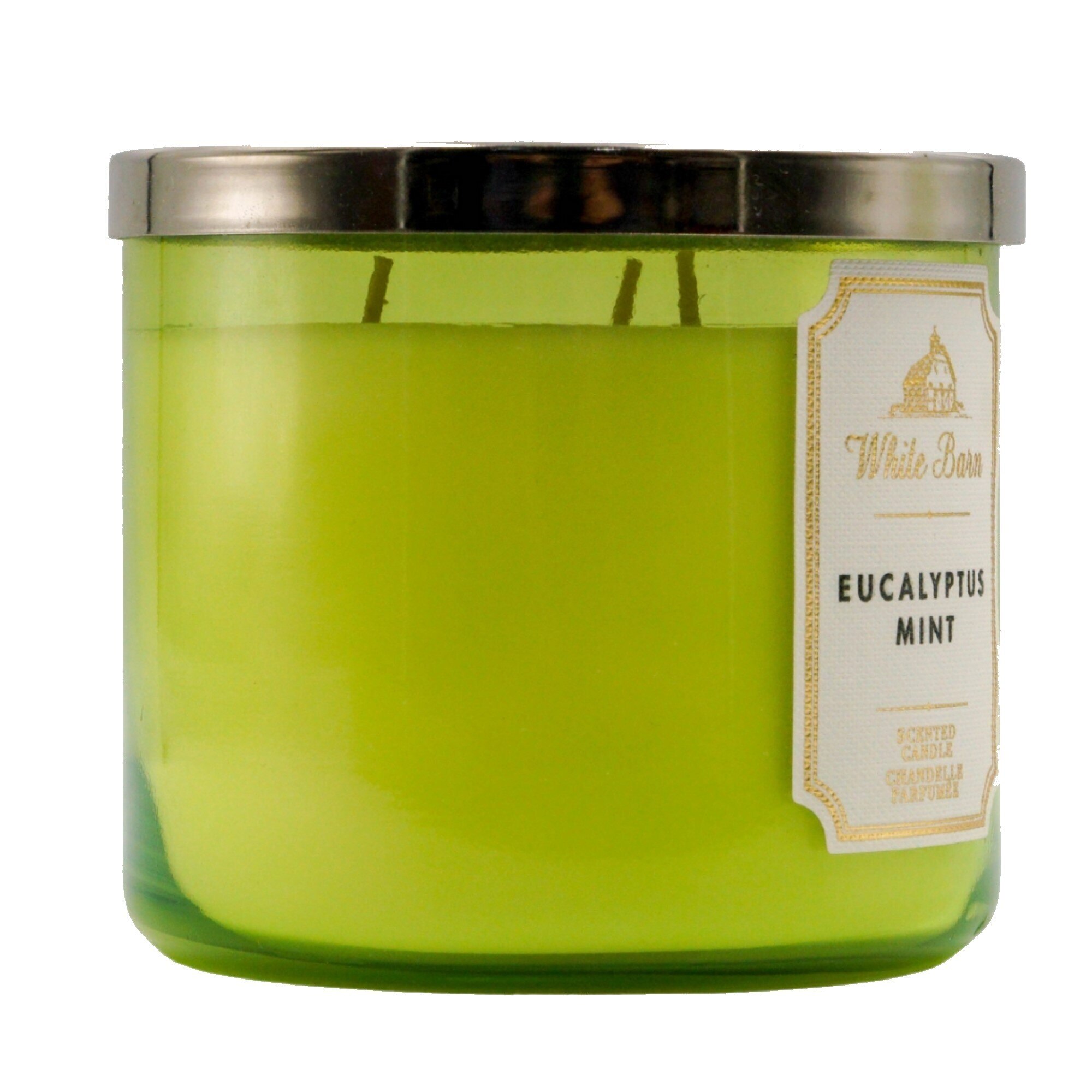 Eucalyptus Mint 3 Wick Candle