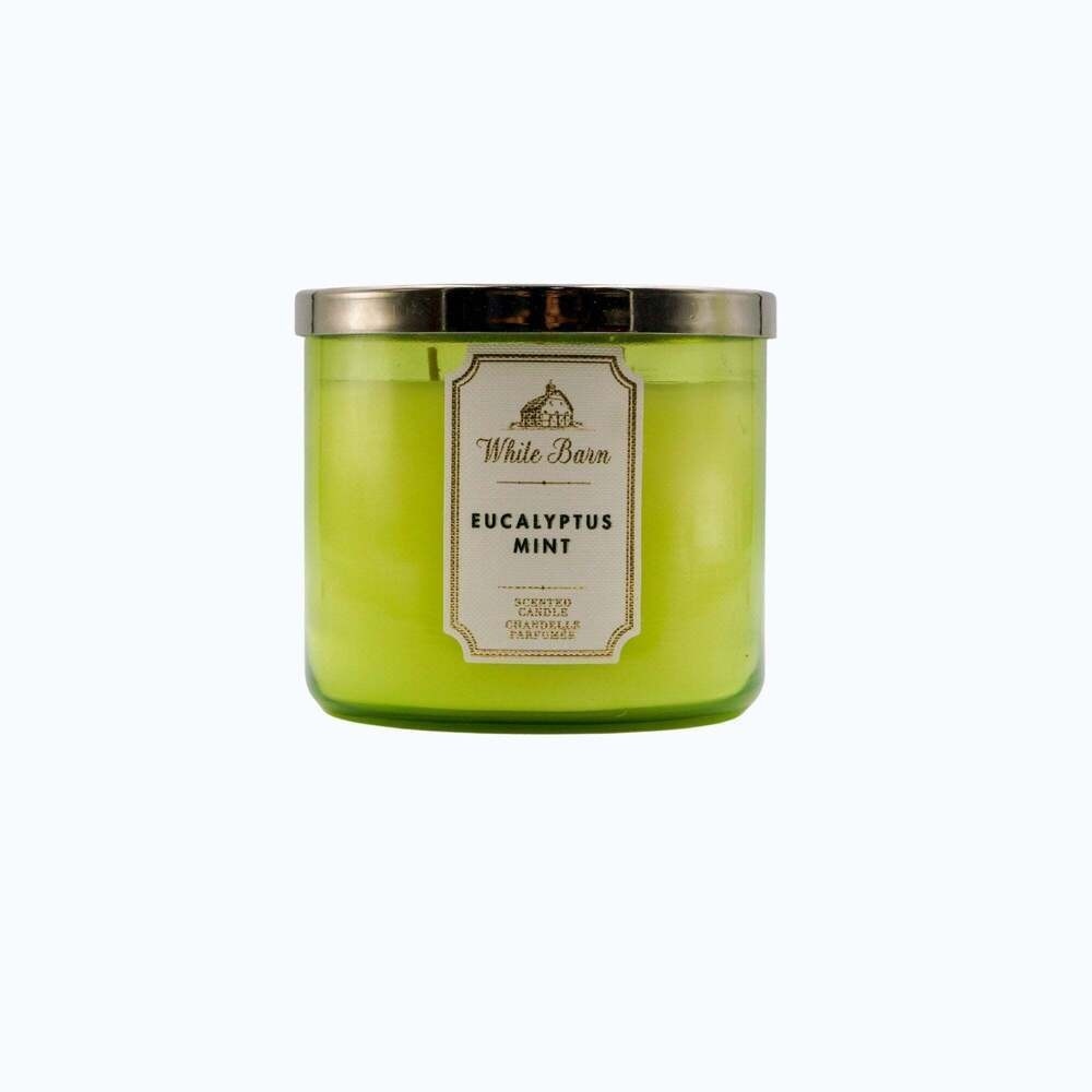 Eucalyptus Mint 3 Wick Candle