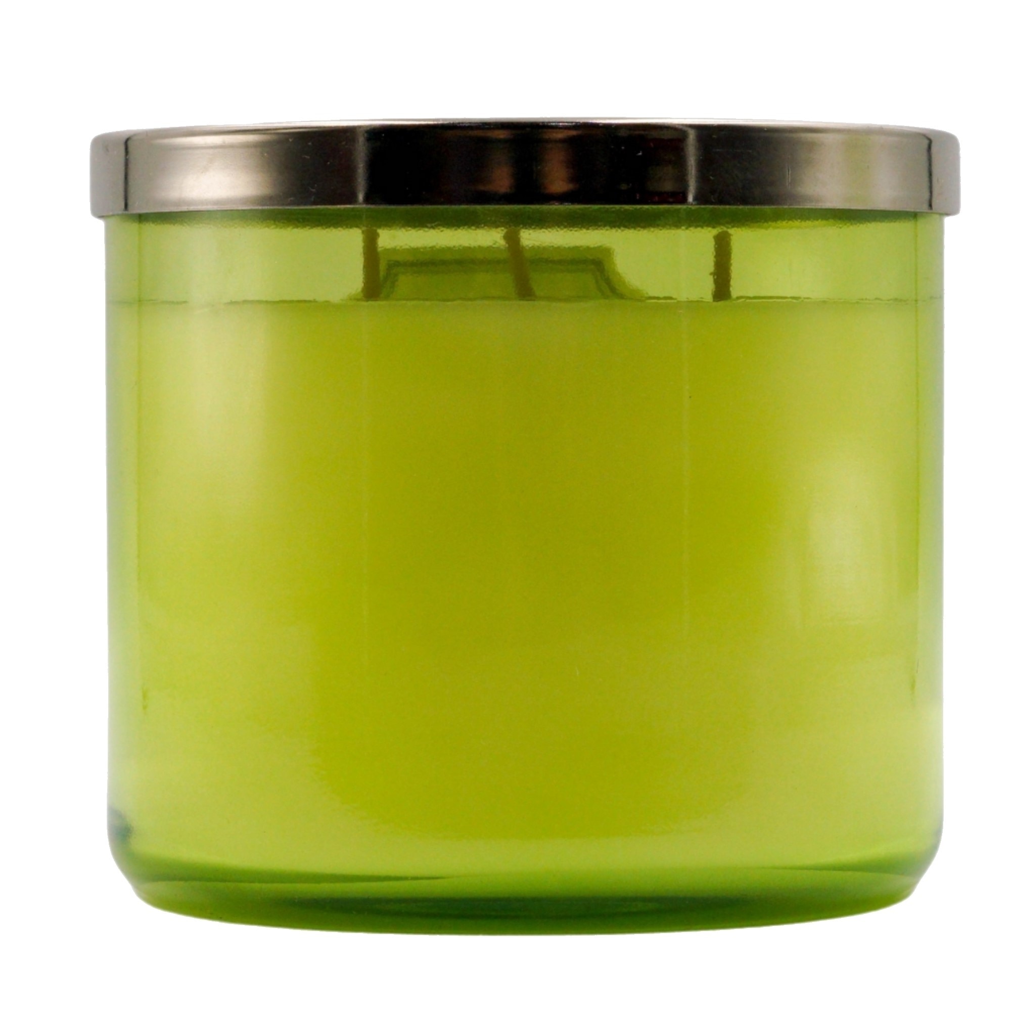 Eucalyptus Mint 3 Wick Candle