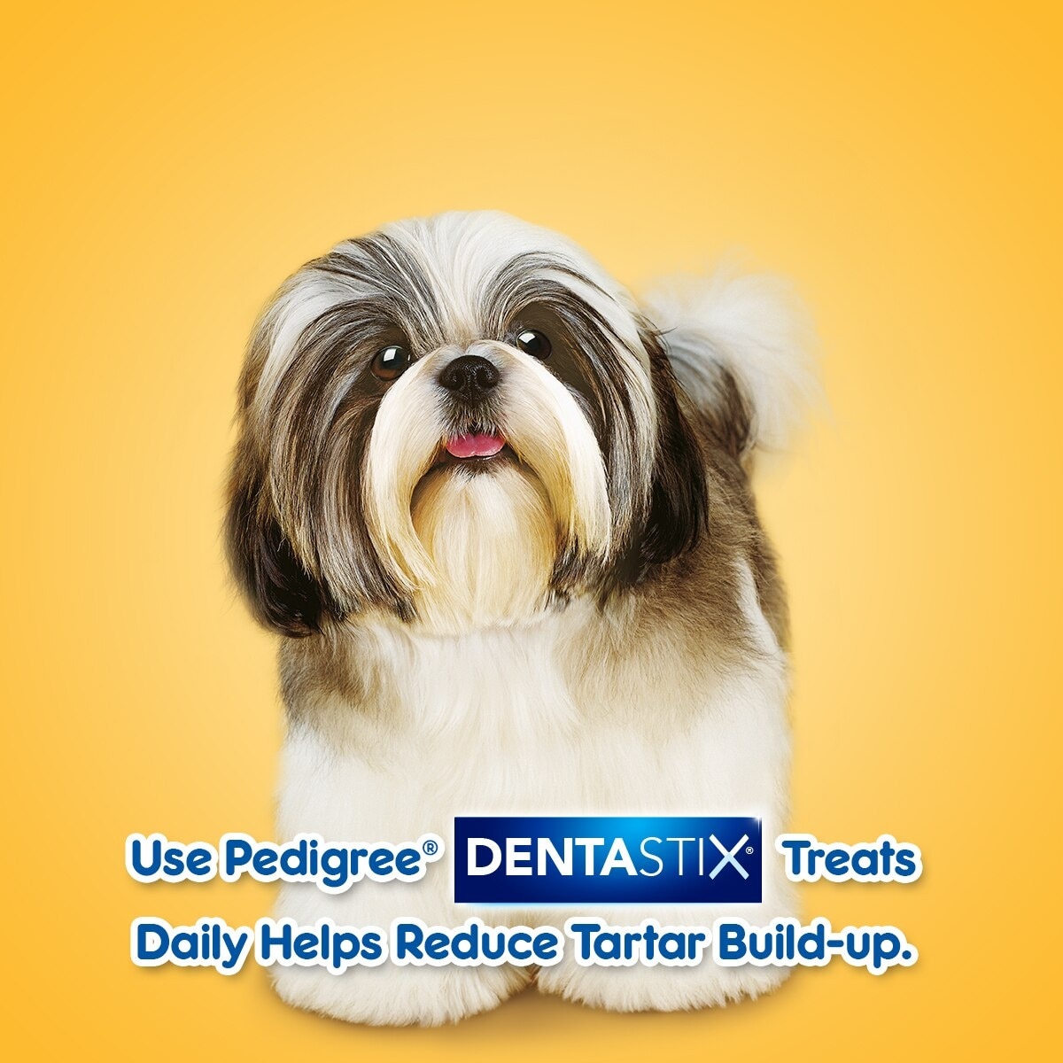 Dentastix Small 7s 110g