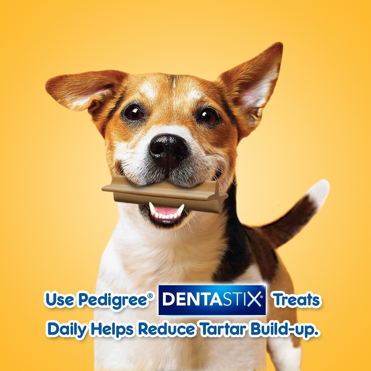 Dentastix Medium 7s 180g