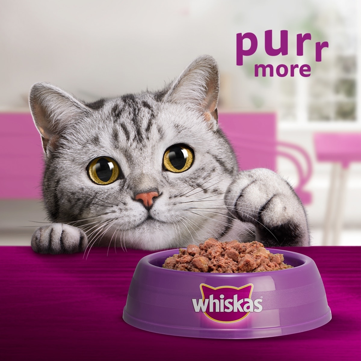 Pouch Kitten Tuna 80g