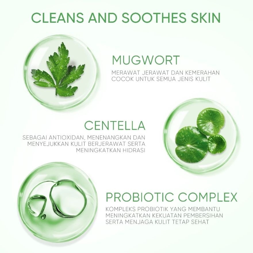 SKINTIFIC Mugwort Micellar Water 300ml