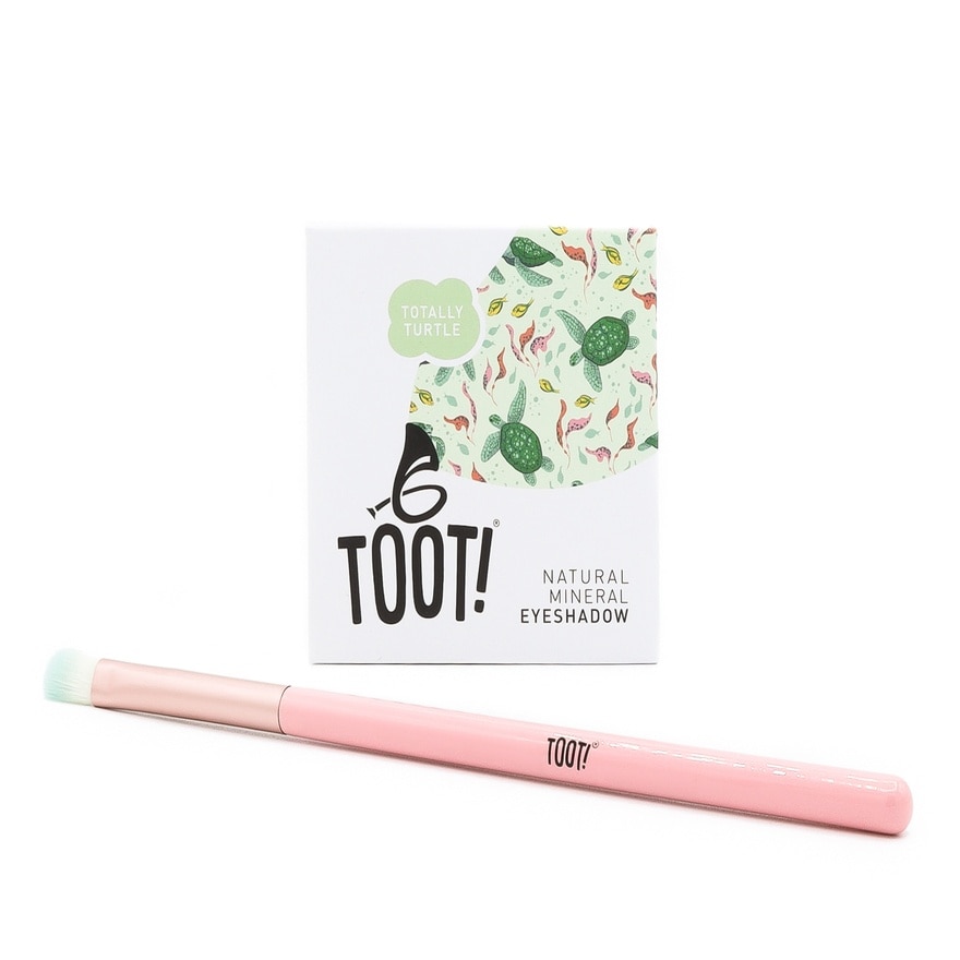 TOOT Totally Turtle Eyeshadow Box Set