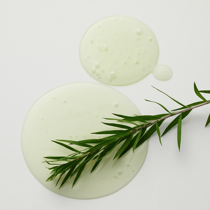 SOME BY MI AHA BHA PHA 30 Days Miracle Acne Clear Body Cleanser 400g image