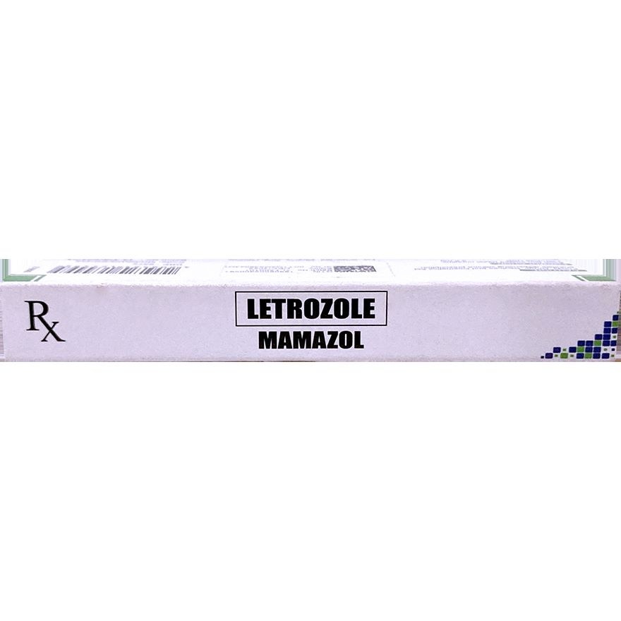 MAMAZOL 2.5mg Film Coated Tablet Sold Per Piece [PRESCRIPTION REQUIRED] image