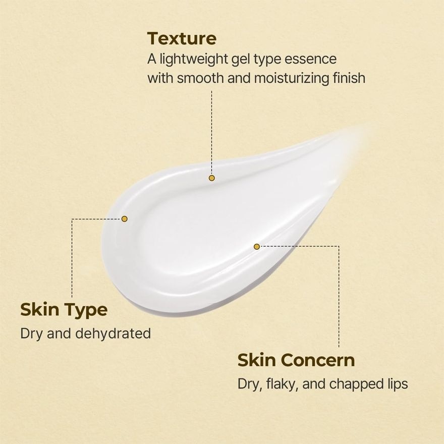 TORRIDEN Solid In Lip Essence 11ml