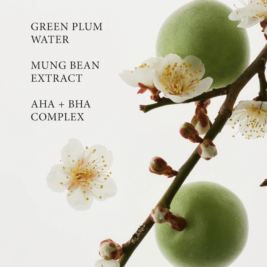 BEAUTY OF JOSEON Green Plum Refreshing Toner : AHA + BHA 150ml