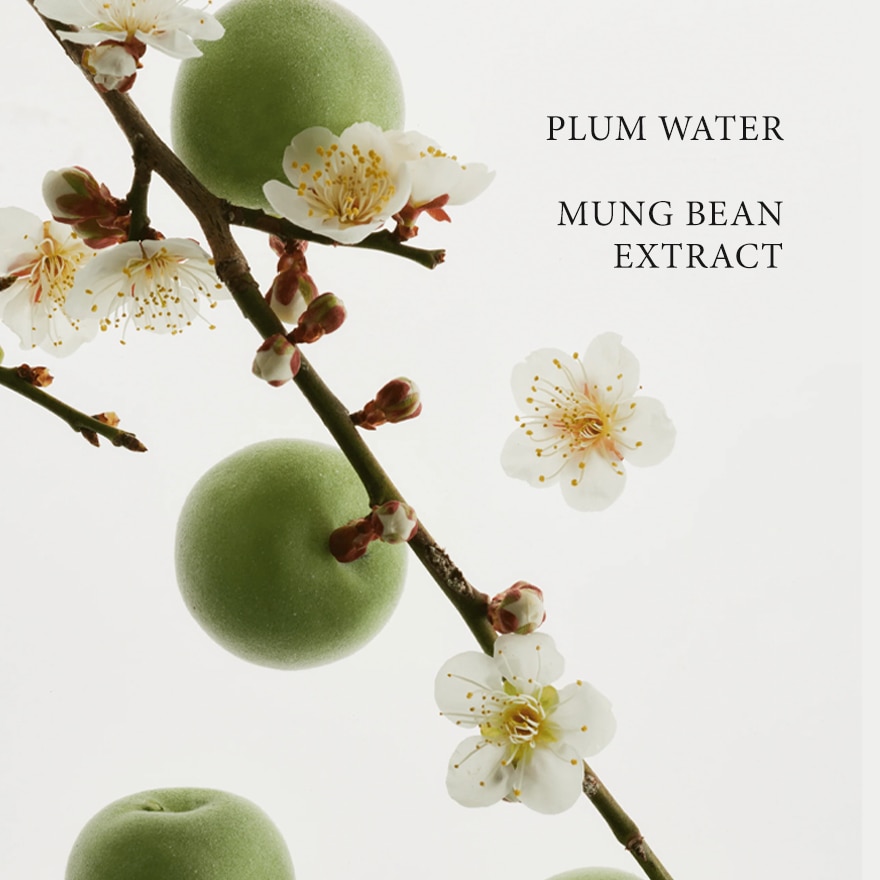 BEAUTY OF JOSEON Green Plum Refreshing Cleanser 100ml