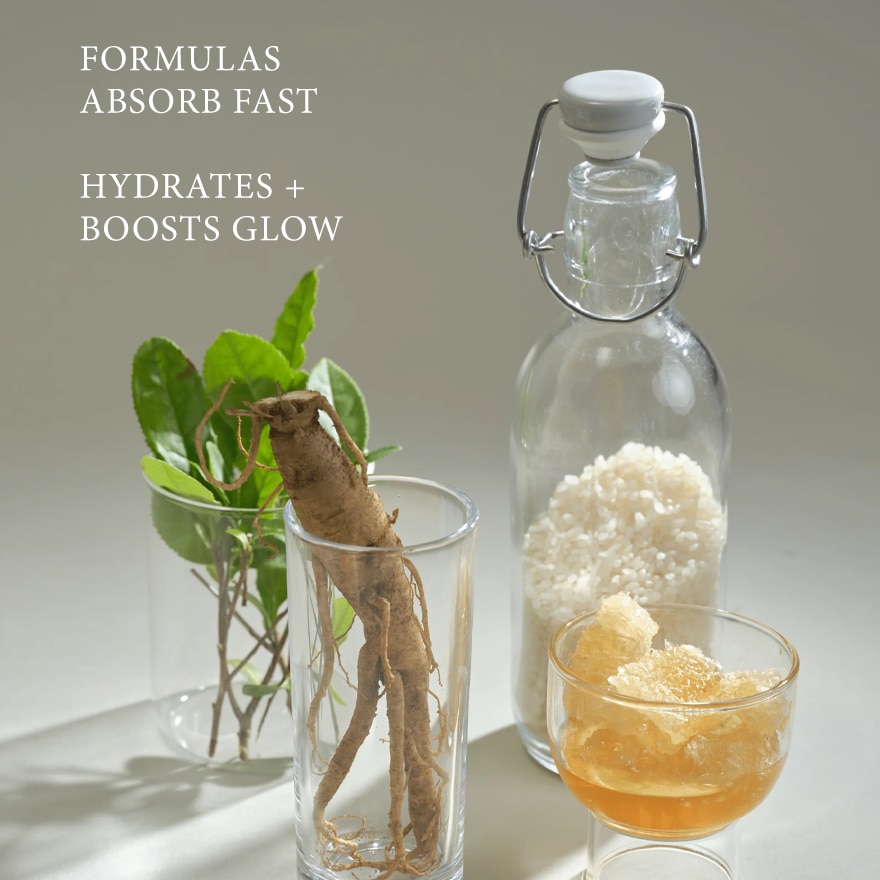 BEAUTY OF JOSEON Hanbang Serum Discovery Kit