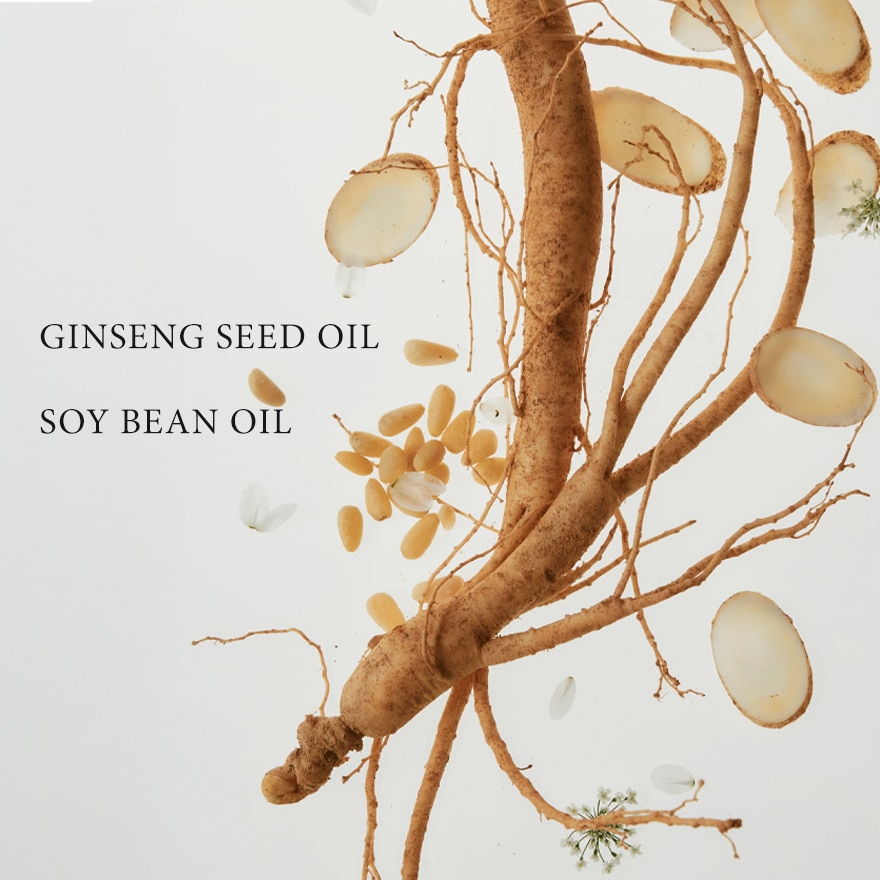 BEAUTY OF JOSEON Ginseng Cleansing Oil 210ml