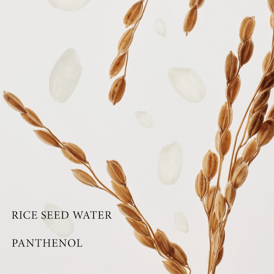 BEAUTY OF JOSEON Relief Sun Aqua Fresh Rice B5 50ml SPF50 PA