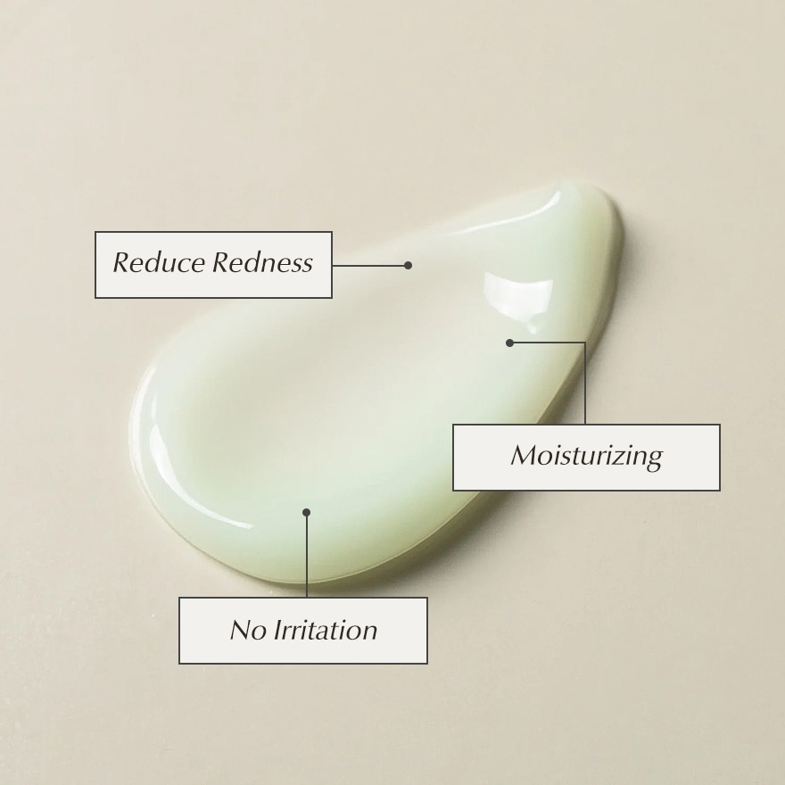 KAINE Green Calm Aqua Cream 70ML