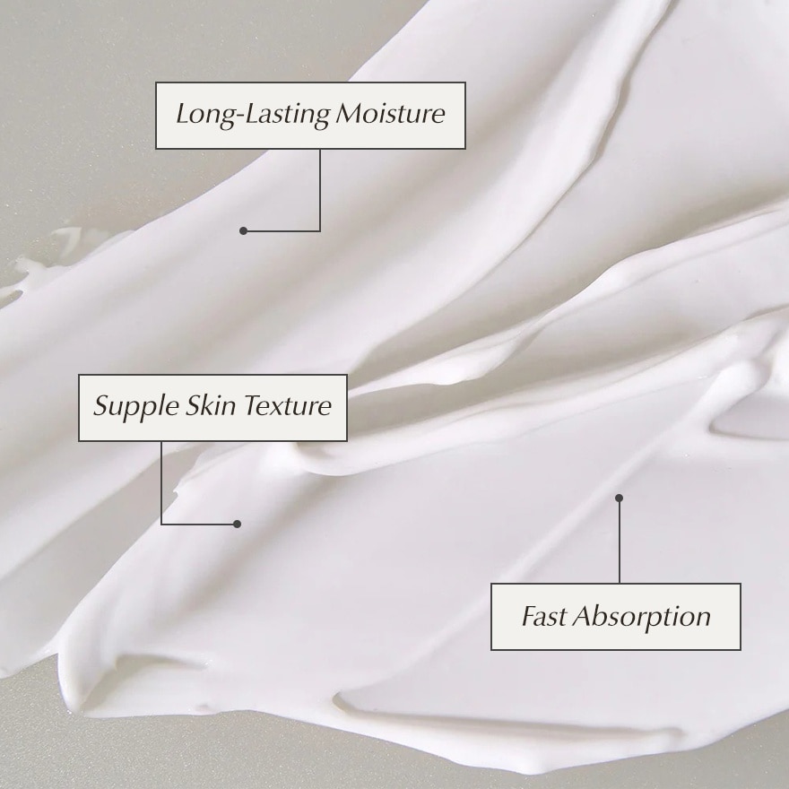 KAINE Vegan Collagen Youth Cream 50ML